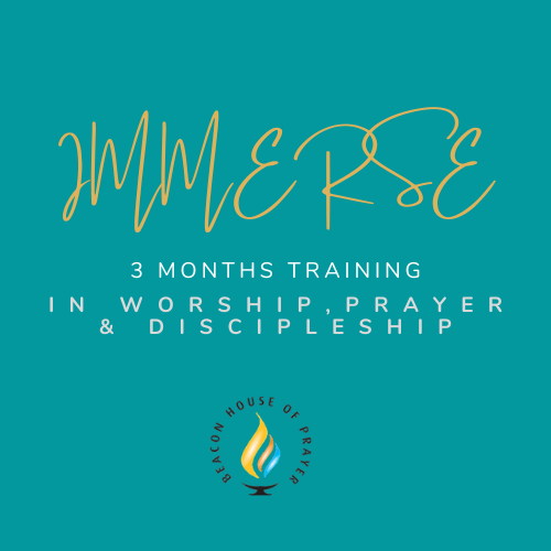 Immerse discipleship training