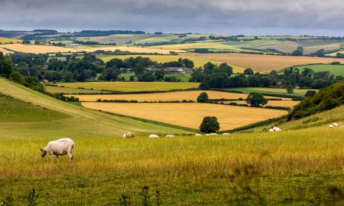 hope countryside 