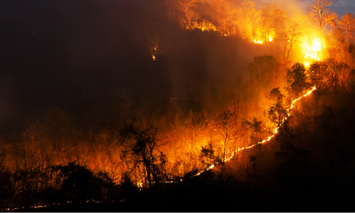 wild fires